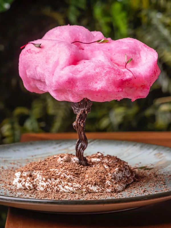 Pratos do Paparoto Cucina por Reprodução/Instagram