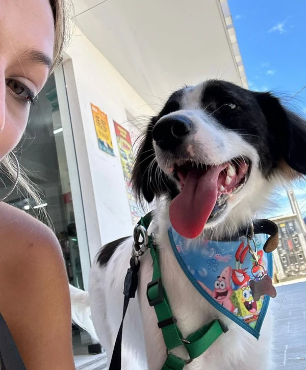 Samira Sagr com Lindolfo por Reprodução/ Instagram