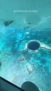 Salmoura densa afunda e fica depositada em depressões naturais do solo oceânico por Reprodução