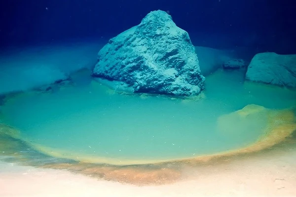 A 'piscina da morte' que divide o fundo do oceano em dois e surpreende até mergulhadores experientes por Universidade de Miami / Divulgação