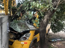 Imagem - Ônibus escolar bate em passarela e deixa múltiplas vítimas