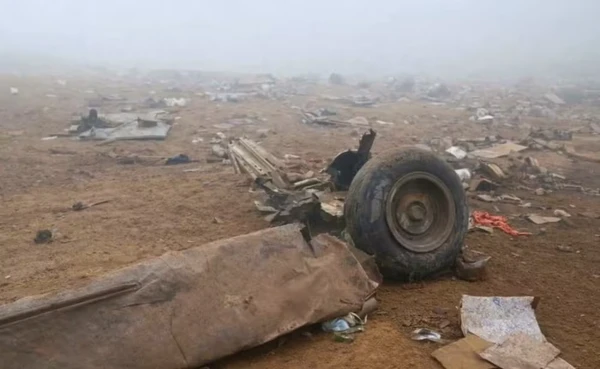 Chihuahua sobreviveu por Reprodução