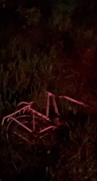 Motorista atropelou e matou dois irmãos na BA-120 por Divulgação/CIPRV Itabuna