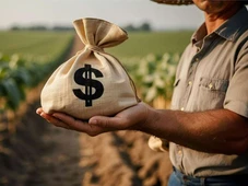 Imagem - Campo sustenta o PIB do Brasil: por que o agronegócio já representa 11,7% da economia e o que isso significa para o país