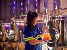 Imagem - Com 6 mil bolsas para o Cervejeira Sou Eu, Ambev quer promover avanço de mulheres no setor de cervejas