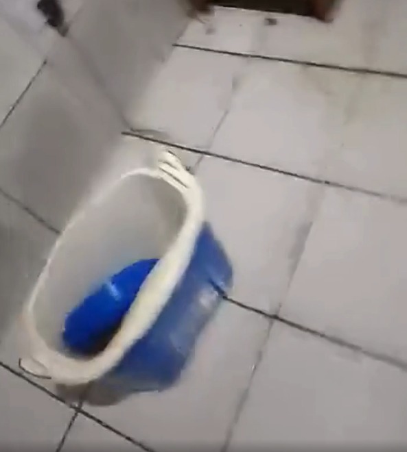 Homem mata esposa em São Paulo no Dia da Mulher por Reprodução