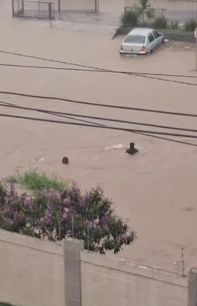 Mulher desaparece após enxurrada em Vitória da Conquista por Reprodução