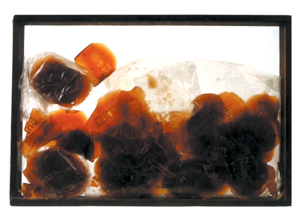 Obra de Fernanda Gomes por divulgação