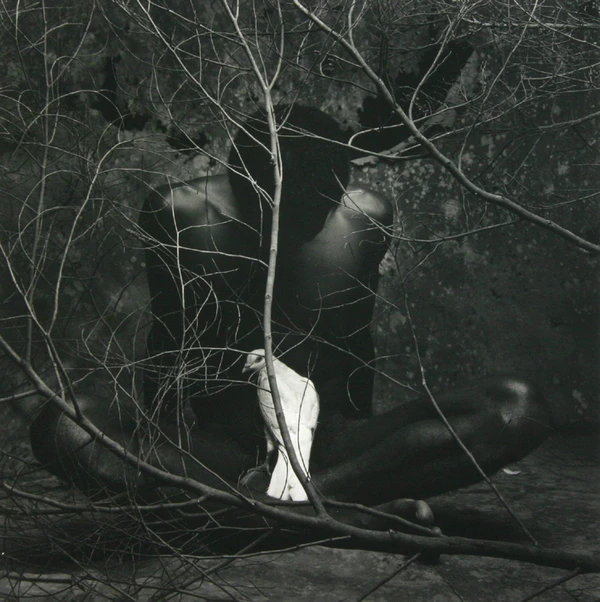 Obra de Mario Cravo neto por divulgação