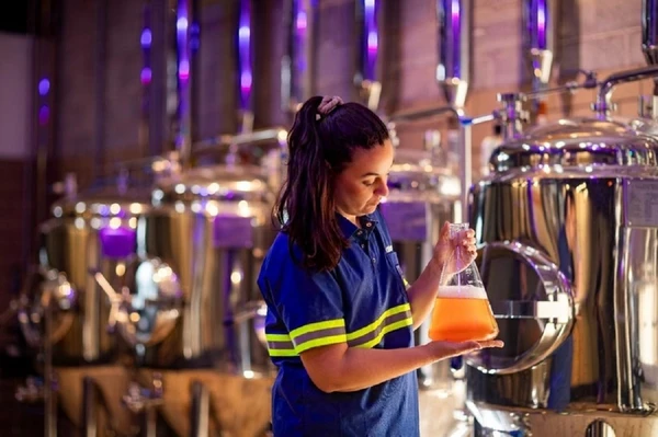 odo o conteúdo é voltado para quem deseja iniciar uma carreira no mundo cervejeiro