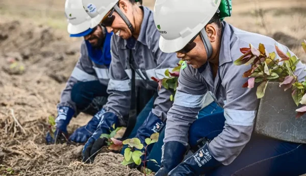 Vaga para ajudante de viveiro, também destinada a PcD, recebe inscrições até 15 de março em unidade da empresa no município de Mucuri.