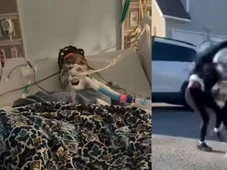 Imagem - Menina de 12 anos morre após briga com colega ao descer de ônibus escolar