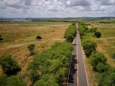 Imagem - Colisão entre motos deixa três mortos em BR na Bahia