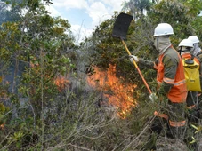 Imagem - Seminário internacional apresenta estratégias para prevenir incêndios florestais