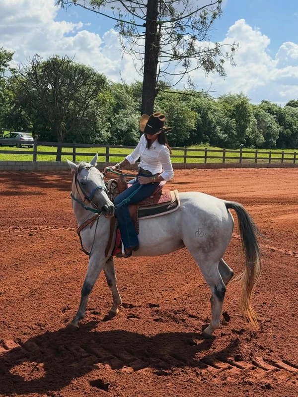 Ana Castela por Reprodução/Instagram