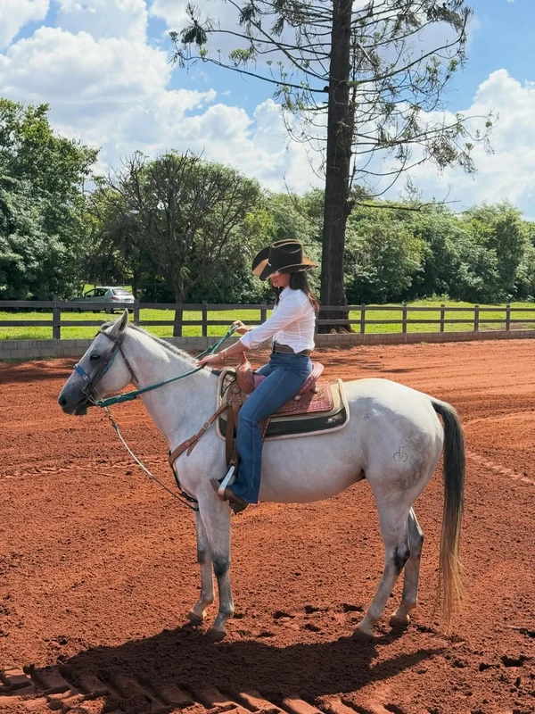 Ana Castela por Reprodução/Instagram