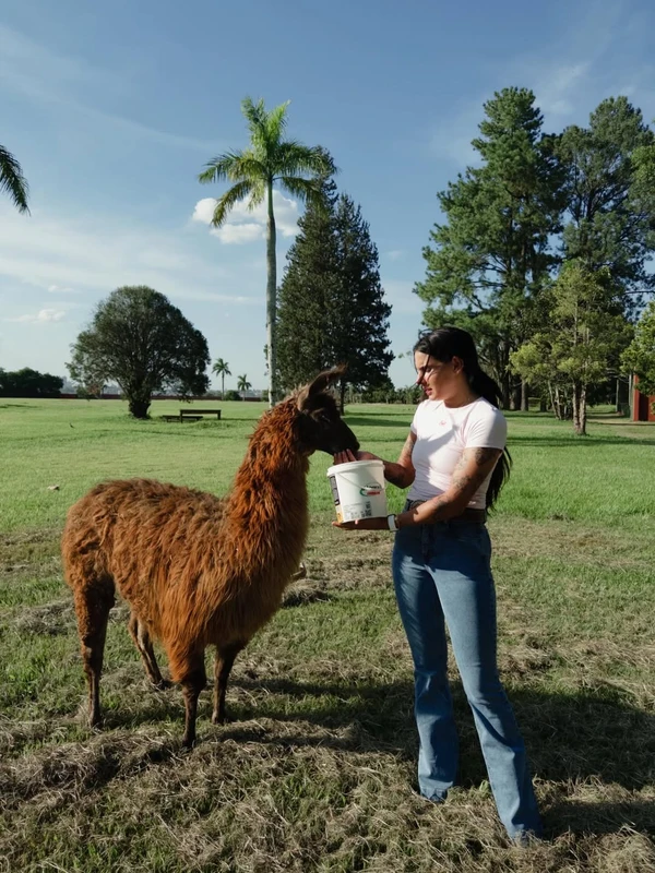 Ana Castela por Reprodução/Instagram