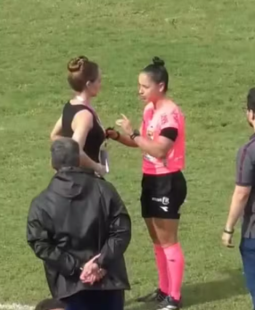 Médica foi assediada por torcedores durante partida em São Paulo por Reprodução