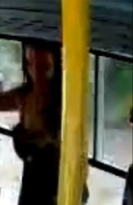 Mulher cai de ônibus em movimento e morre após janela ceder por Reprodução