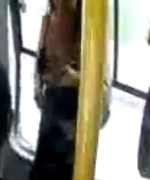 Mulher cai de ônibus em movimento e morre após janela ceder por Reprodução