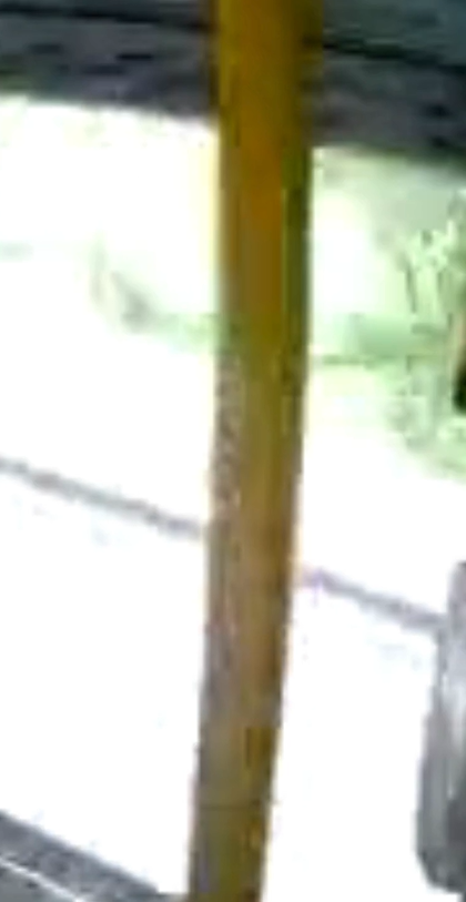 Mulher cai de ônibus em movimento e morre após janela ceder por Reprodução