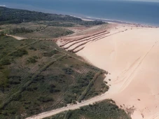 Imagem - Empresa baiana apresenta case de reflorestamento e restabelecimento ambiental
