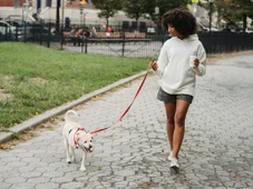 Imagem - 'Pet-friendly': 5 cuidados essenciais antes de levar seu cachorro para passear no parque
