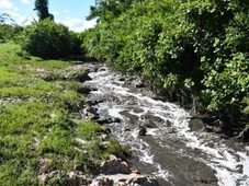 Imagem - Corpo de mulher é encontrado às margens de rio em Vitória da Conquista