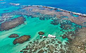 Costa dos Corais é conhecida como 'Caribe brasileiro' por Divulgação