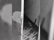 Imagem - Brutalidade: idoso de 73 anos é morto a pauladas após briga com vizinho em Feira de Santana