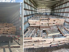 Imagem - Nove toneladas de peixe são apreendidas em rodovia na Bahia