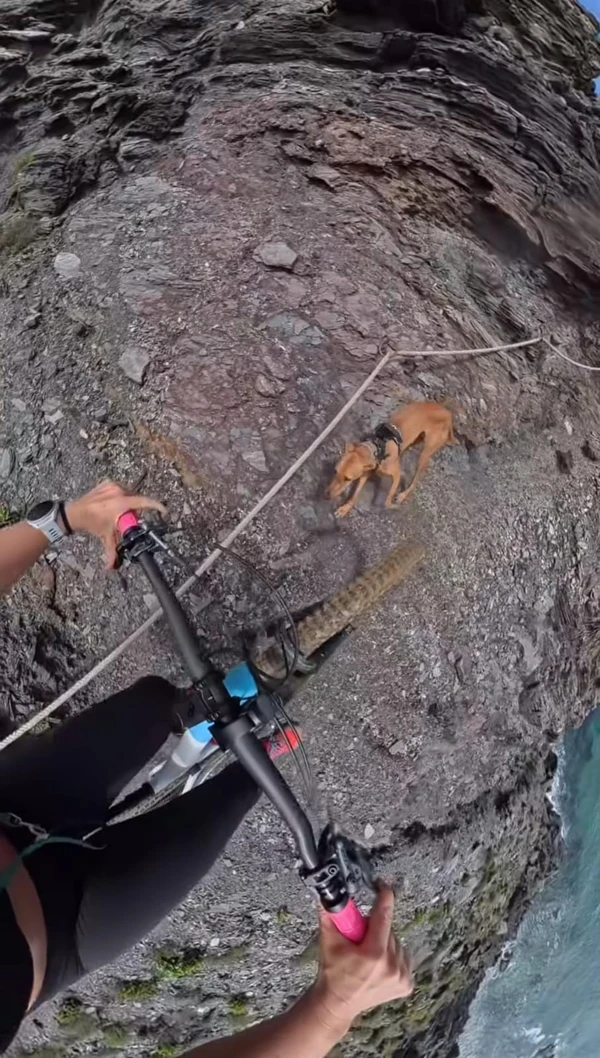 Ciclista registra momento em que escorrega em precipício por Reprodução