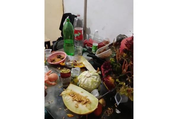 Idosa foi encontrada por vizinhos em condições insalubres por Reprodução