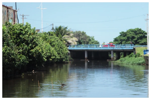 Mas não é só na Boca do Rio (foto) que as muriçocas estão tirando a paz: a perturbação chega a localidades, como Patamares, Imbuí, Alphaville, Horto Florestal e até a Barra por Sora Maia