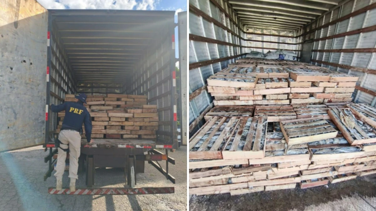 Material apreendido durante fiscalização na BR-116