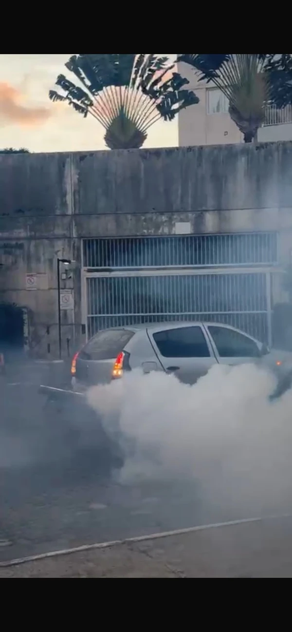 Moradores do Imbuí contrataram um fumacê para controlar as muriçocas; a empresa Best Service Controle de Pragas disse que está operando com capacidade máxima nos últimos dias por Divulgação/Best Service