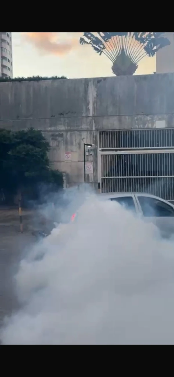 Moradores do Imbuí contrataram um fumacê para controlar as muriçocas; a empresa Best Service Controle de Pragas disse que está operando com capacidade máxima nos últimos dias por Divulgação/Best Service