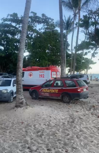 Resgate foi feito em área de difícil acesso por Reprodução/Porto Seguro Notícias