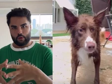 Imagem - Lucas Guedez nega abandono de cachorra após acusações e recebe apoio de creche para pets