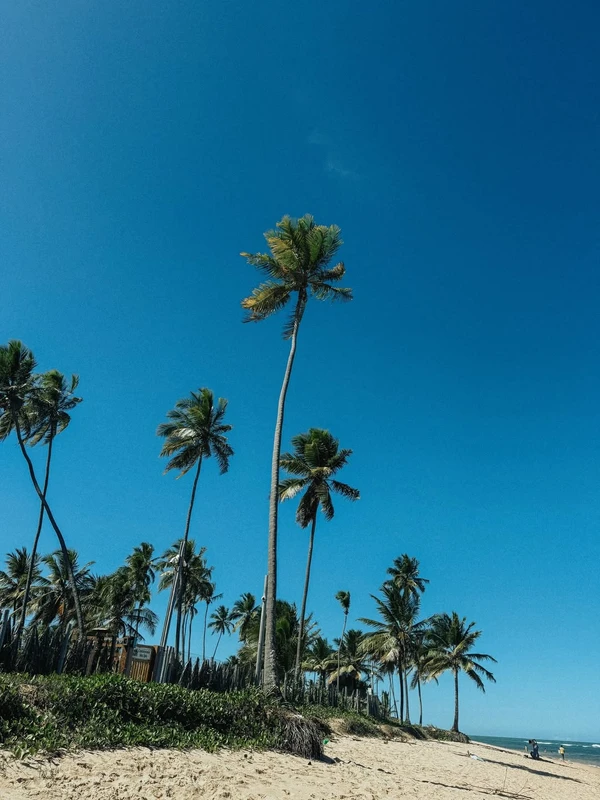 Zé Felipe abre álbum de viagem com filhos por Reprodução/Instagram