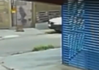 Cão comunitário Johnny é atacado com óleo quente por Reprodução