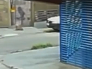 Cão comunitário Johnny é atacado com óleo quente por Reprodução