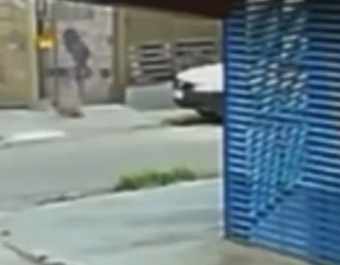 Cão comunitário Johnny é atacado com óleo quente por Reprodução