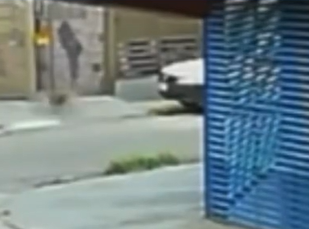 Cão comunitário Johnny é atacado com óleo quente por Reprodução