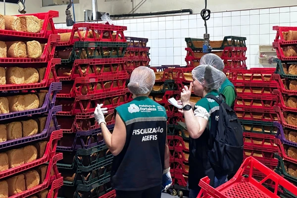 Fábrica apresentou infestação de baratas 