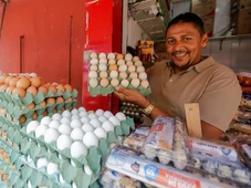 Imagem - Ovo 'aguado' pode indicar problema? Veja o que está por trás