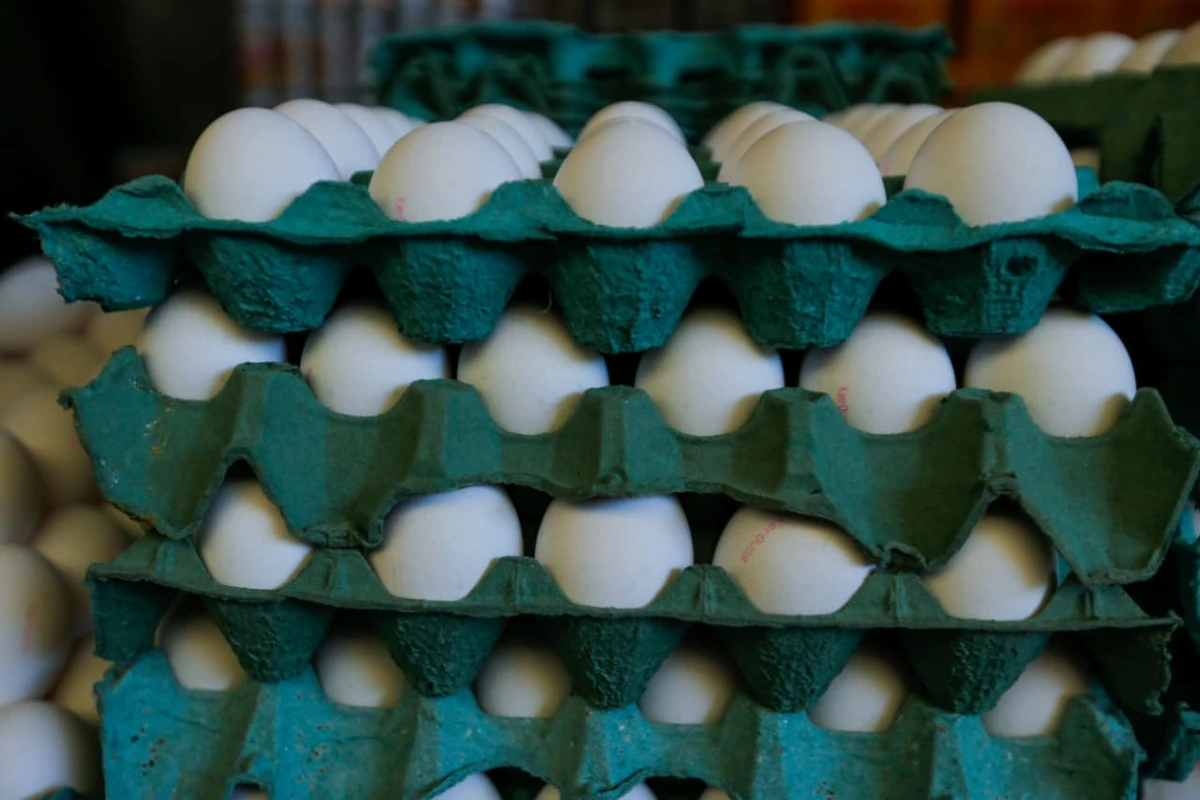 Aumento das exportações. por Arisson Marinho/CORREIO