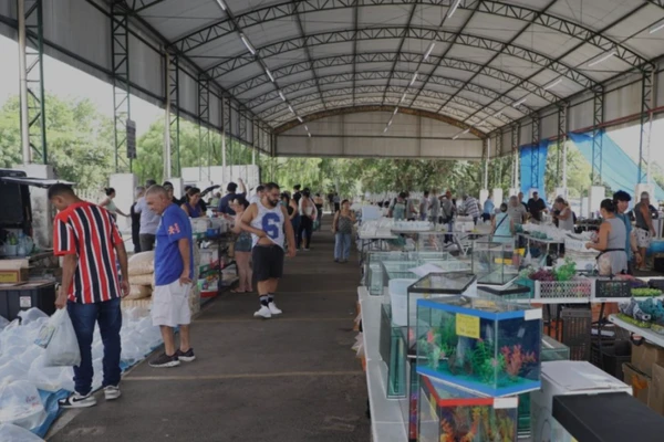 CRAISA – Companhia Regional de Abastecimento Integrado de Santo André anuncia concurso