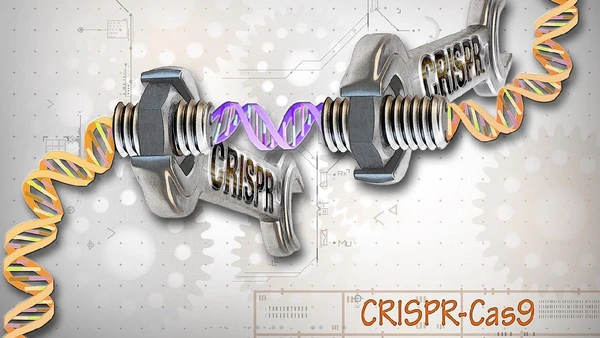 O primeiro alvo clínico dessa tecnologia é a hipercolesterolemia hereditária, uma espécie de condição genética que mantém o colesterol alto e frequentemente não responde a medicamentos