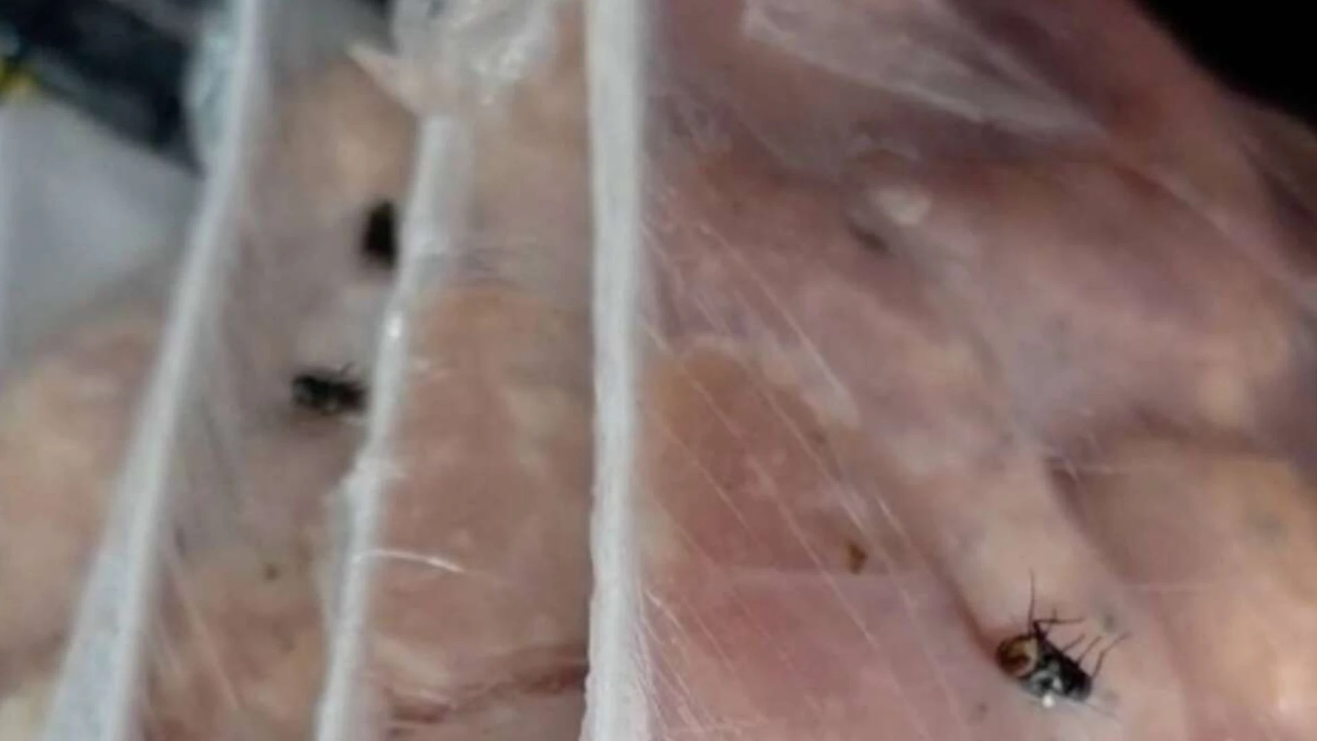 Imagem - Dois supermercados são autuados após fiscalização identificar insetos na comida e frutas estragadas